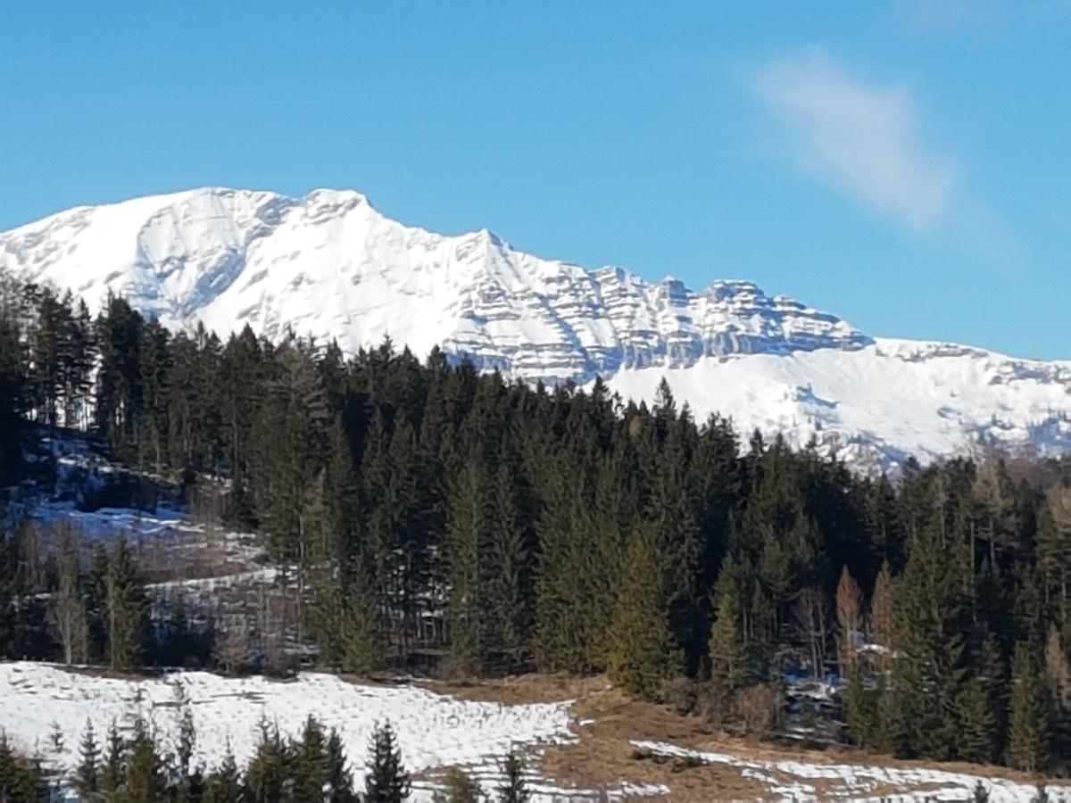 Berliner Ecke Hotel Mariazell Luaran gambar